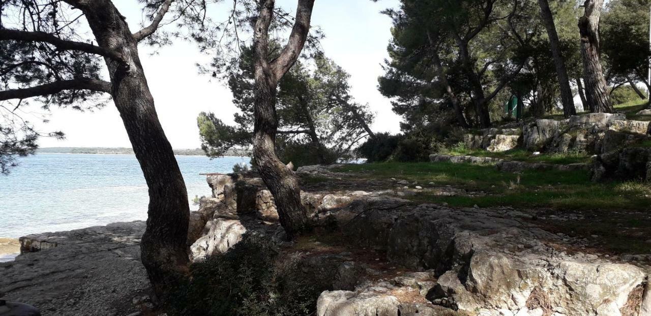 Mobile Cinzia Holiday home Pula